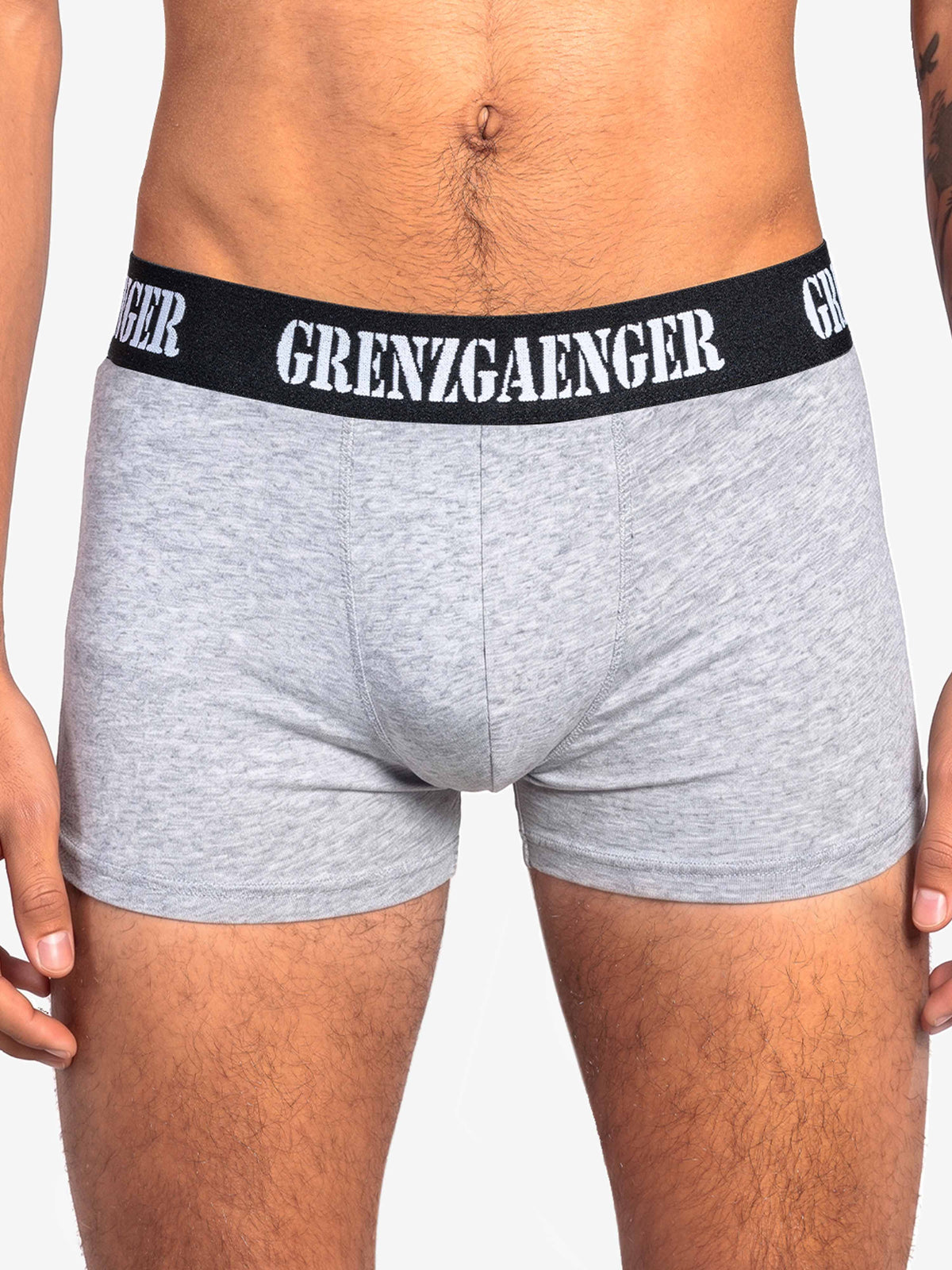 Boxershorts (2 pairs) sports grey